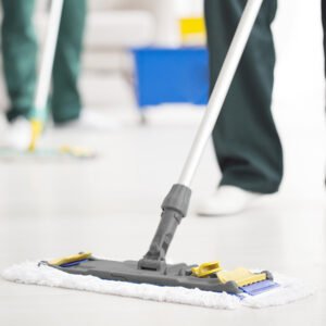 Flat Mopping Frames